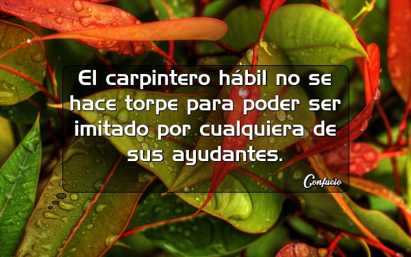 el carpintero habil no se hace torpe para poder ser imitado por cualquiera de sus ayudantes confucio