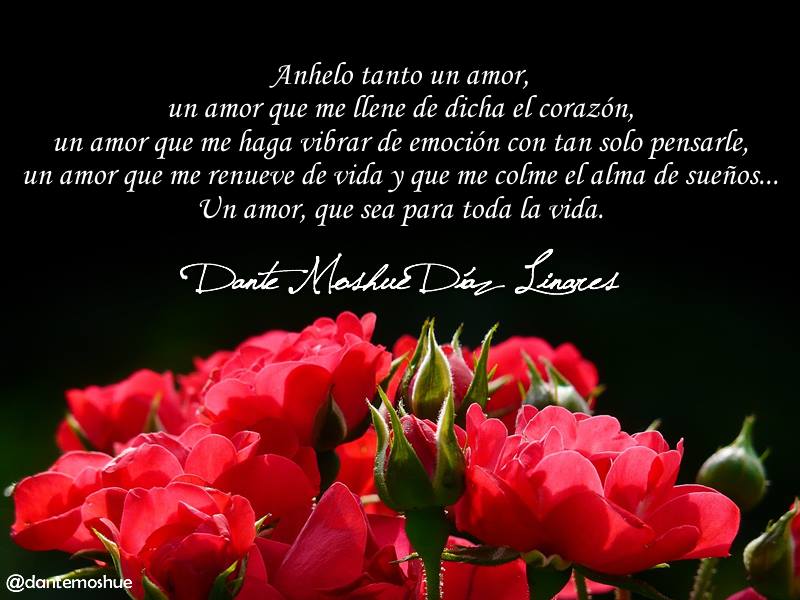 anhelo tanto un amor un amor que me llene de dicha el corazon