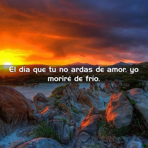 el dia que tu no ardas de amor yo morire de frio