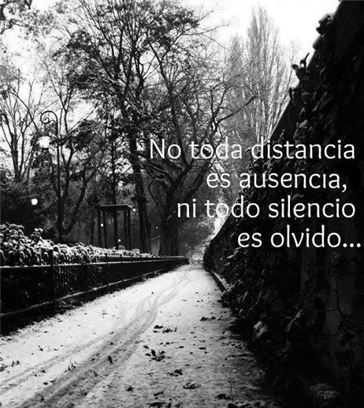 no toda distancia es ausencia ni todo silencio es olvido