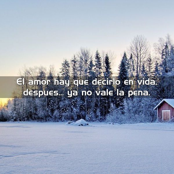 El amor hay que decirlo en vida después ya no vale la pena