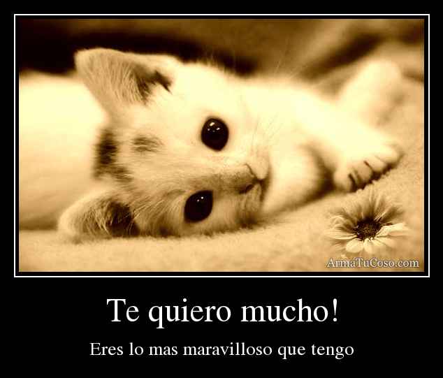 Te quiero mucho. Eres lo más maravilloso que tengo