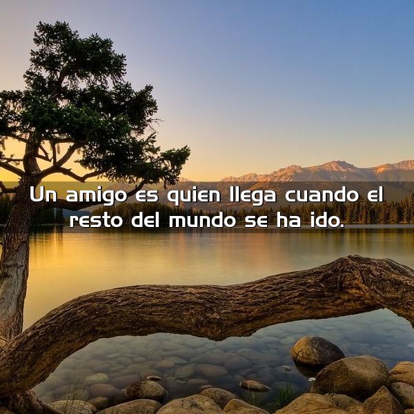 Un amigo es quien llega cuando todo el mundo se ha ido