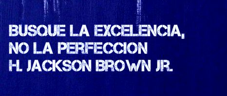 Busque la excelencia no la perfección