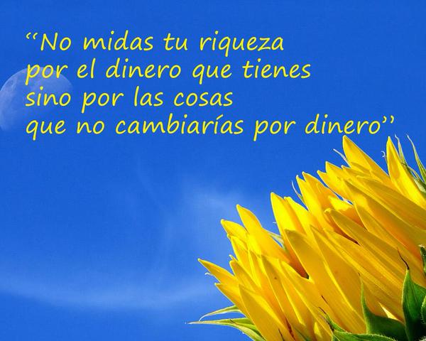 No midas tu riqueza por el dinero que tienes sino por las cosas que no ...