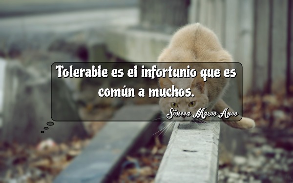 Tolerable es el infortunio que es común a muchos