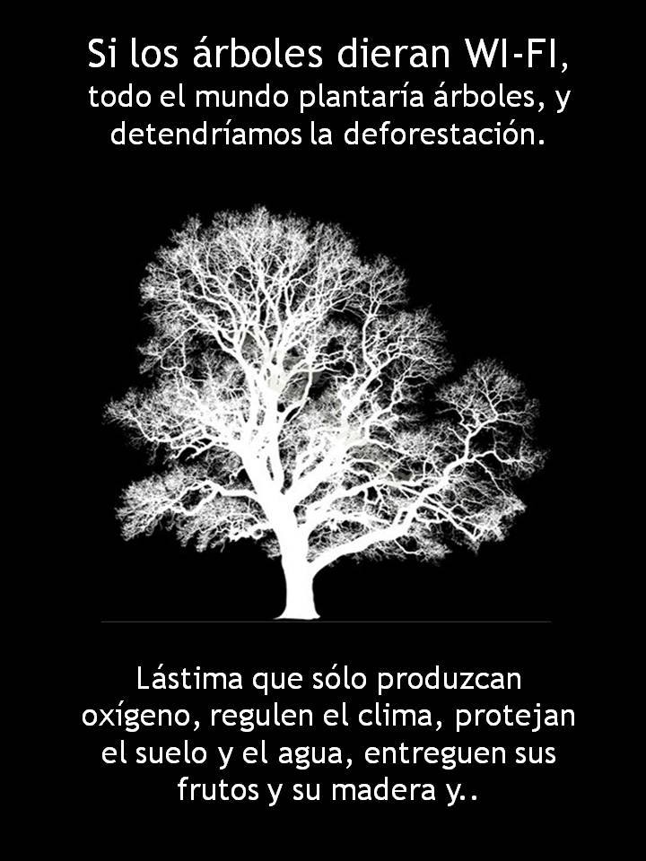 Si los árboles dieran wifi todo el mundo plantaría árboles y detendríamos la deforestación. Lástima que sólo produzcan oxígeno regulen el clima protejan el suelo