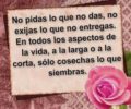 no pidas lo que no das no exijas lo que no entregas. en todos los aspectos de la vida a la larga o a la corta solo cosechas lo que siembras